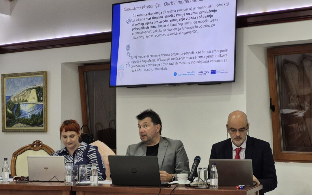 2nd Meeting of Responsible Research and Innovation Ecosystems (LiRRIEs) event in Montenegro