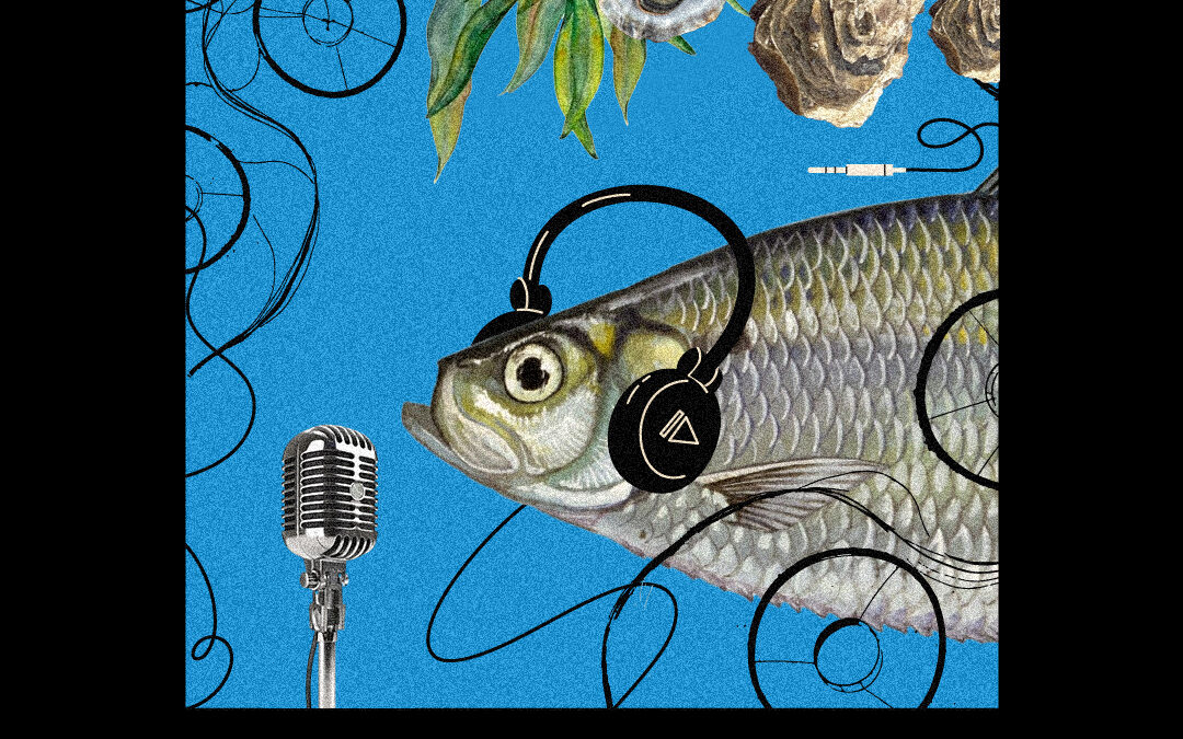 1st Episode of the AZA4ICE Podcast📢