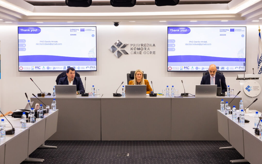 3rd LiRRIE meeting in Podgorica, Montenegro