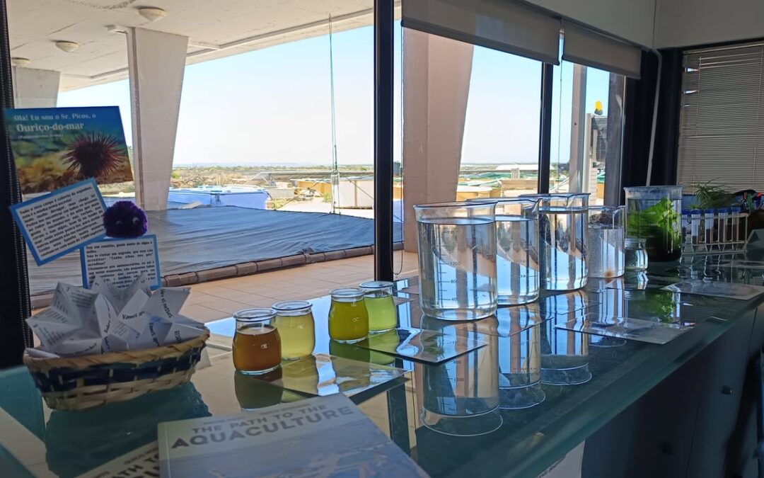 Instituto Português do Mar e da Atmosfera (IPMA) participated in the Open Day of the Ria Formosa Natural Park