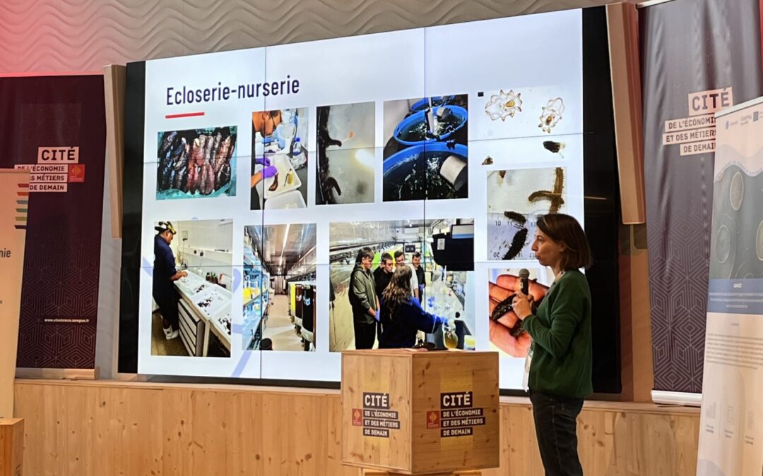 AZA4ICE – Third French LiRRIE Held in Montpellier to Advance Sustainable Aquaculture