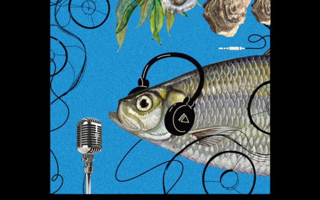 3ᶯᵈ Episode of the AZA4ICE Podcast 📢