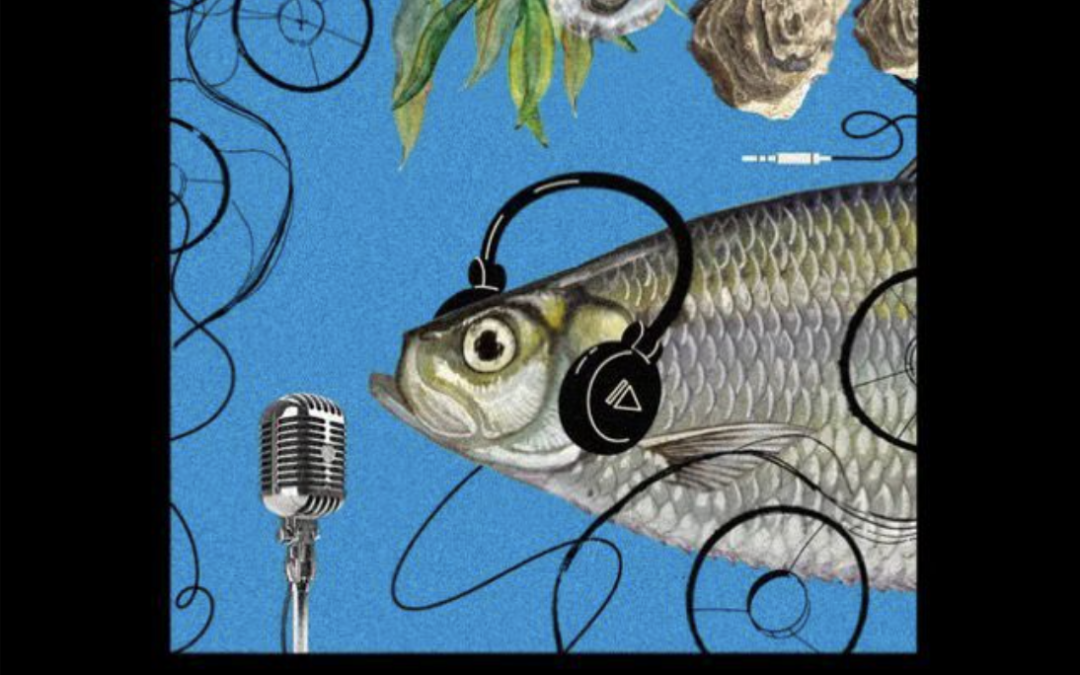 5th Episode of the AZA4ICE Podcast